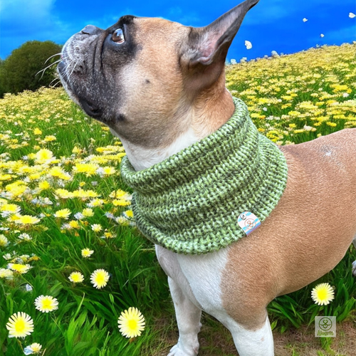 odoo-img:e4a55a531963ad6a9700eeadfed6b595