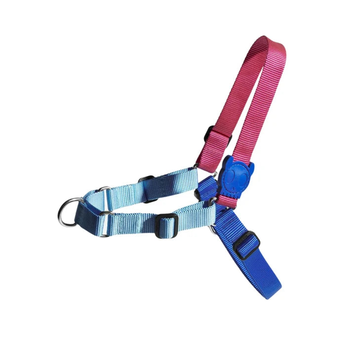 odoo-img:71a790f690a006e4d7b98a2acdeff07c